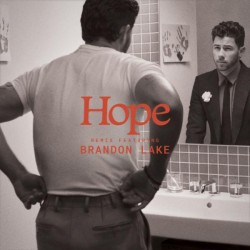Nick Jonas & Brandon Lake - Hope (remix)