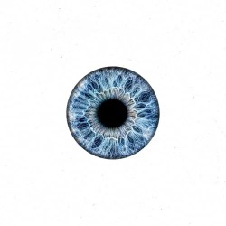 WE ARE ONE - Seen